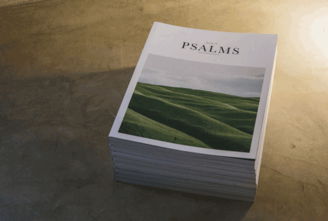 畫冊印刷咨詢電話021-63063076  第2張