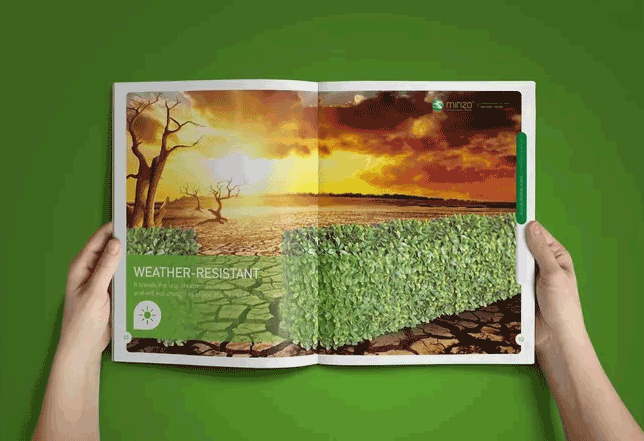 機械畫冊印刷過程中有哪些小創意？