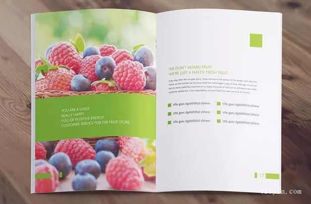 農產品畫冊  第2張