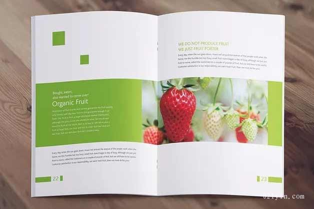 農產品畫冊  第3張