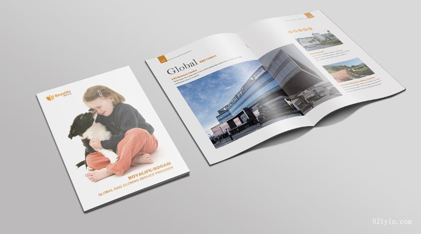 上海彩頁印刷時會碰到哪些常見問題？  第1張