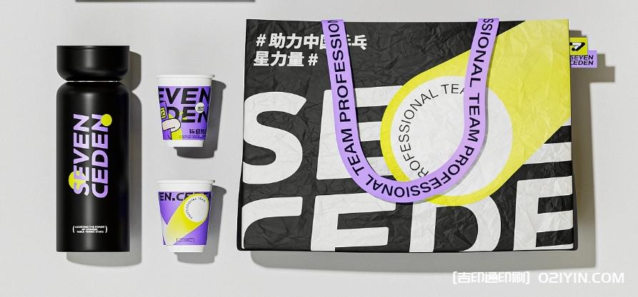 體育教育類品牌VI系統標志設計 第4張 體育教育類品牌VI系統標志設計 第4張