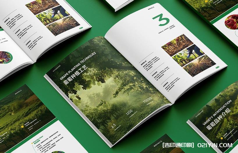 上海企業畫冊印刷專家：從設計到成品，一站式品質服務