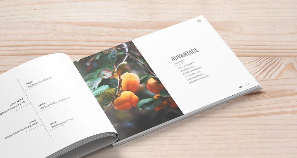 上海黃浦區(qū)畫冊(cè)印刷的設(shè)計(jì)需求有哪些？