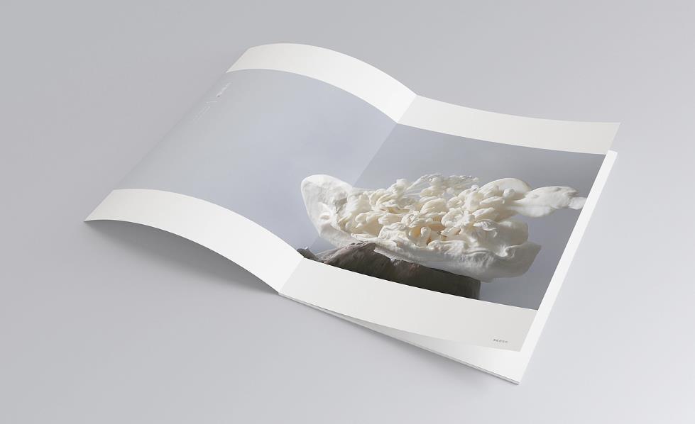 彩頁印刷常規尺寸有哪些？